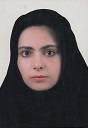 الهام فهیمی وکیل پایه یک کانون وکلای دادگستری اردبیل