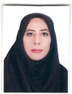 شراره  ملکی  وکیل پایه یک کانون وکلای دادگستری اردبیل